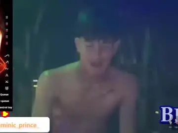 Chaturbate Nude Webcam of dominicprince