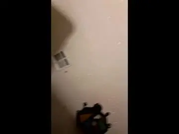 Chaturbate Live Sex of indegeniouscreature