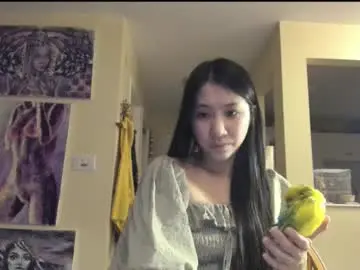 Chaturbate Free Live Porn of alizezaide