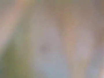 Chaturbate Live Sex of slaveboy32bi