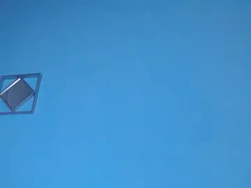 Chaturbate Live Sex of dark_stallionx