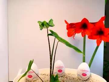 Chaturbate Nude Webcam of manup1977