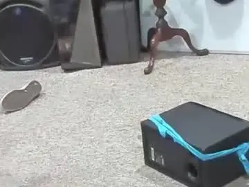 Chaturbate Nude Webcam of bad_boy4u2abuse