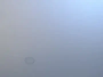 Chaturbate Adult Webcam of amadamar