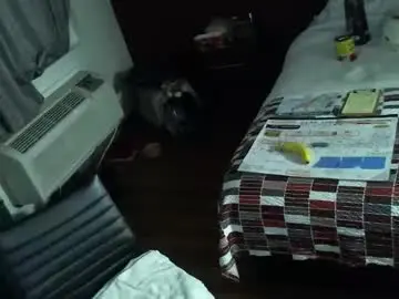 Chaturbate Adult Webcam of mycock4u247