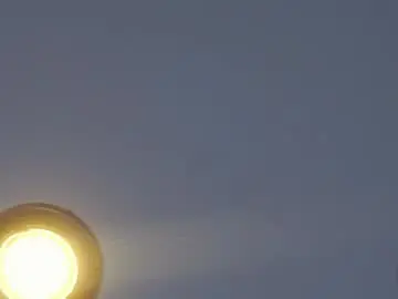 Chaturbate Sex Chat of tashinapetitto