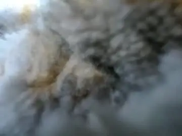 lolly_96 from chaturbate