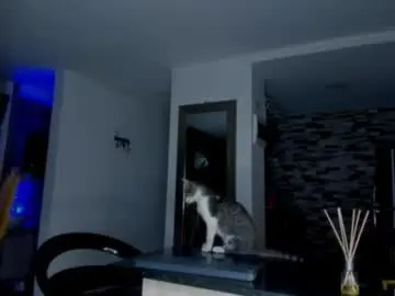 Chaturbate Watch Live Sex Cams of dammianmilleroficial