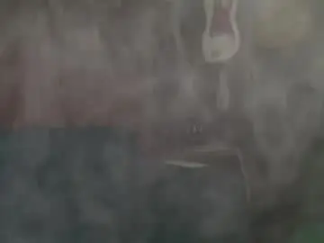 Chaturbate Adult Webcam of flanneldong