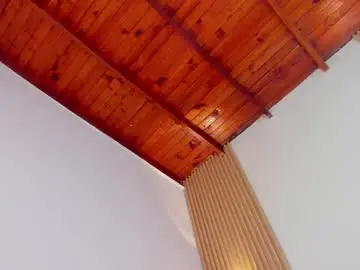 laylaember from chaturbate