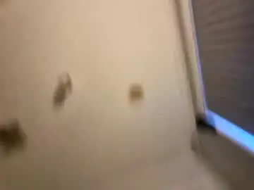 Chaturbate Best live sex cam show of cumwithmi80