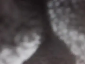 Chaturbate Best live sex cam show of stefdaffy