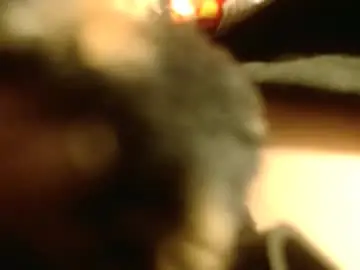 Chaturbate Live Sex Cam of 1971rockhead