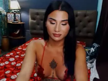 Chaturbate Live Porn of msasianbigcockts