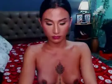 Chaturbate Adult Video Chat of msasianbigcockts