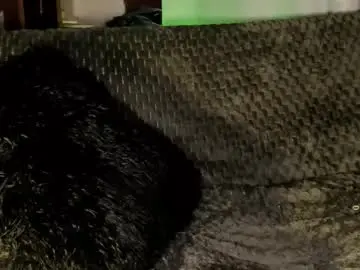 Chaturbate Adult Video Chat of teo_369