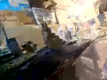 Chaturbate Sex Cam of chuck7891