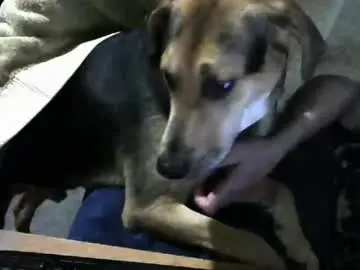 Chaturbate Live Sex of chefy999