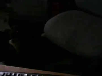 Chaturbate Adult Webcams of chefy999