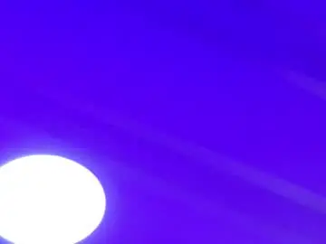 Chaturbate Adult Webcams of thiago_fox1