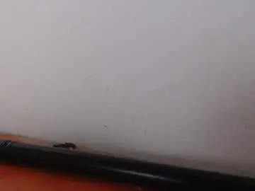 Chaturbate Best Webcam of alexamdergal