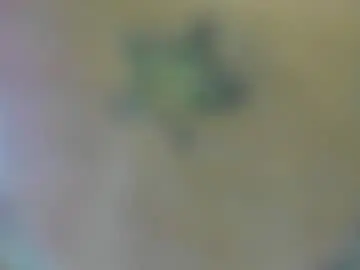 vio_let_ from chaturbate