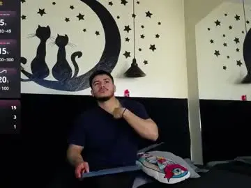 Chaturbate Sex Chat of ariies13