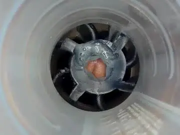 Chaturbate Live Sex Cam of jkrubs665