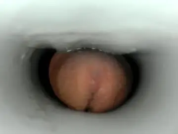 Chaturbate Private Sex Chat of jkrubs665