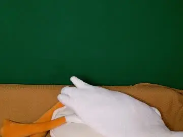 Chaturbate Best Webcam of jane_margol1s