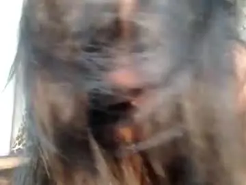 Chaturbate Free Live Porn of cum_overload