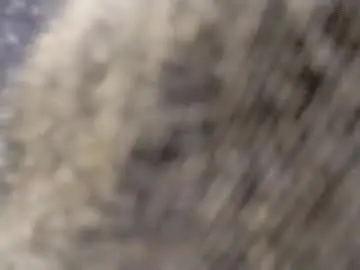 Chaturbate Sex Cam of hardandhorny422