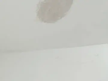 Chaturbate Free Porn Cam of brant_garcia