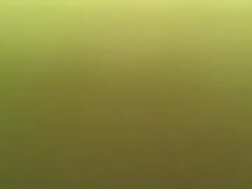 Chaturbate Best Webcam of littlebits1234