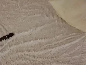 Chaturbate Live Porn of susannkesley