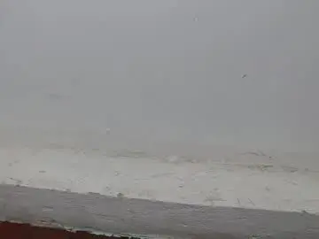 Chaturbate Sex Cam of zoe_miller69