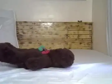 Chaturbate Nude Webcam of splasher_queen