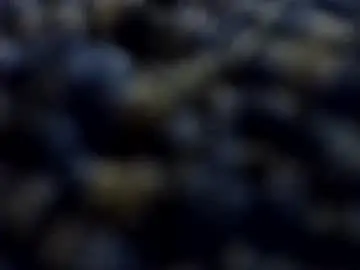 Chaturbate Watch Live Sex Cams of happydick69a