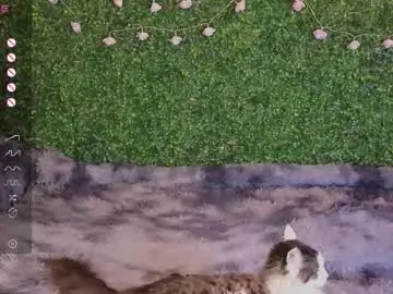 Chaturbate Nude Webcam of katerinnna