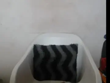 Chaturbate Adult Webcams of hotjessie0