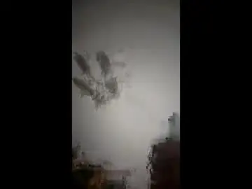 Chaturbate Nude Webcam of russianbear1917