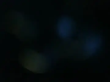 Chaturbate Live Sex of themanbehind1288