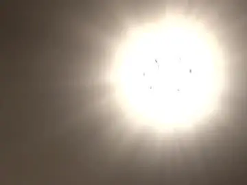 Chaturbate Live Porn of someone4u2cum2