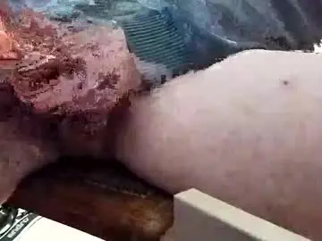 Chaturbate Best Webcam of hansdieter13