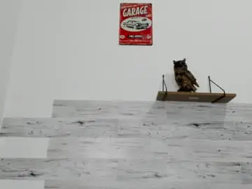 Chaturbate Adult Webcam of jaycreedd