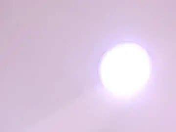 Chaturbate Adult Webcam of scottdamar