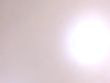 Chaturbate Live Porn of scottdamar