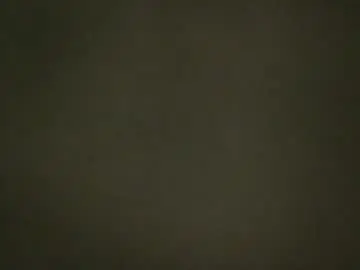 Chaturbate Live Sex Cam of sambuda