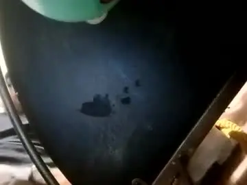 Chaturbate Sex Cam of bigdaddy1231995