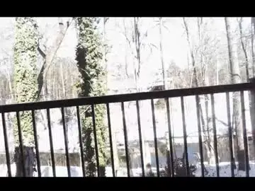 Chaturbate Adult Video Chat of twerkyballs